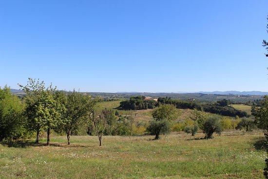 Agriturismo Malafrasca เซียนา ภายนอก รูปภาพ
